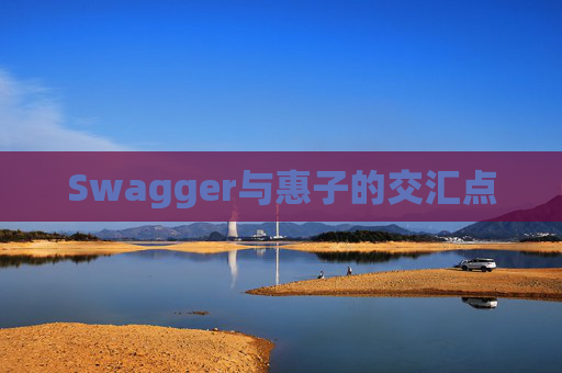 Swagger与惠子的交汇点